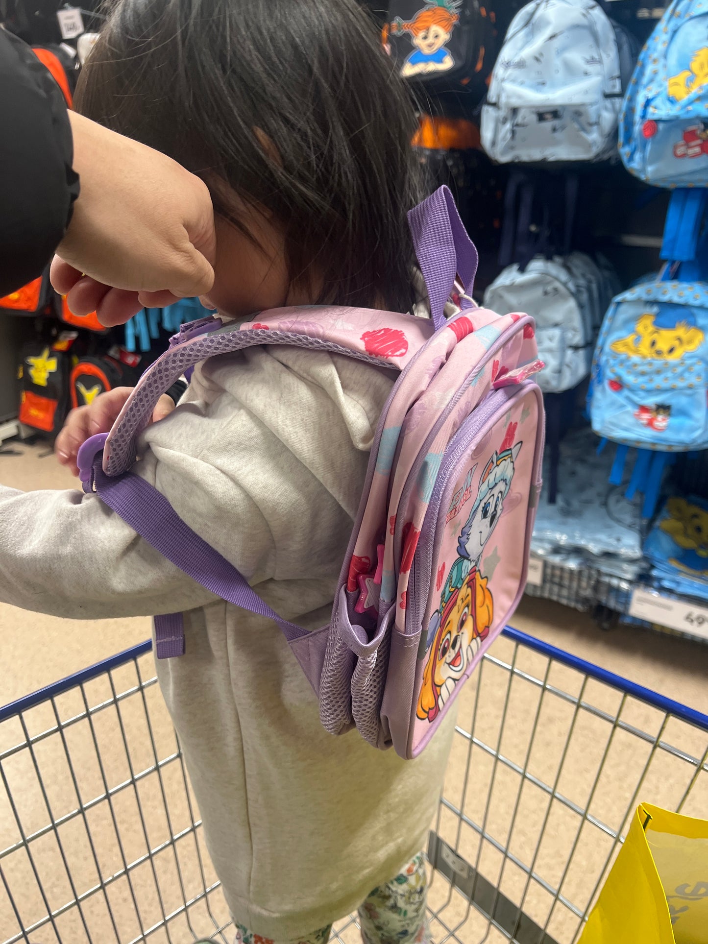 Nickelodeon Paw Petrol Small Backpack 28cm