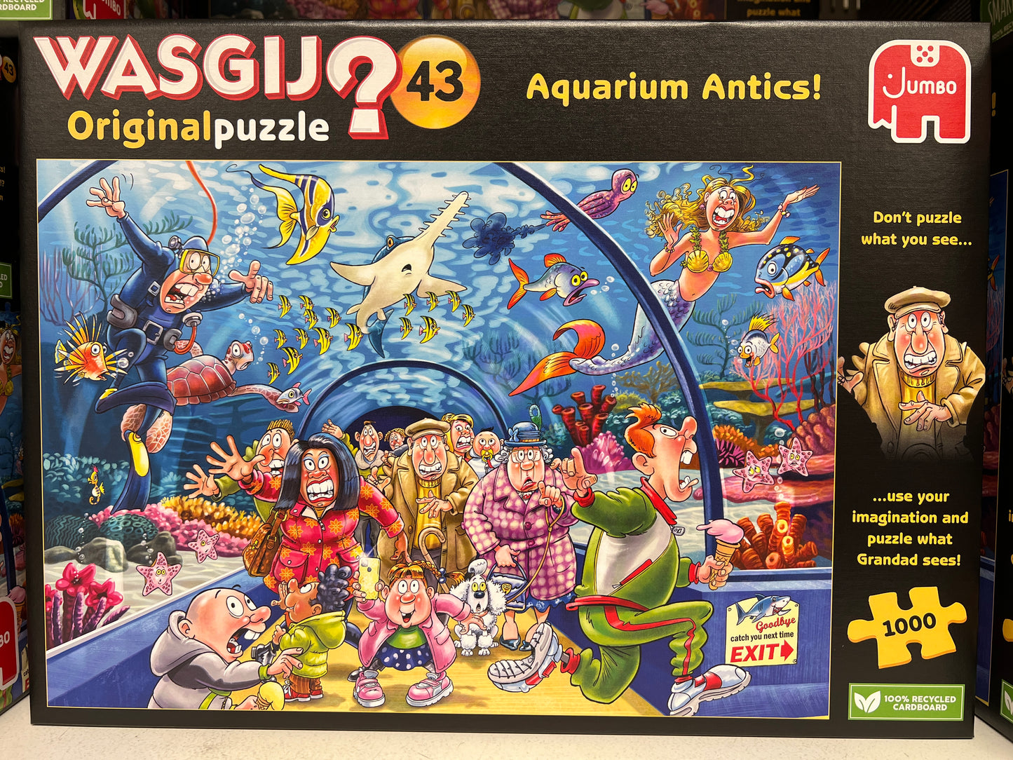 WASGIJ? Mystery Puzzel (Imagine the puzzle image from the box image) 1000’s