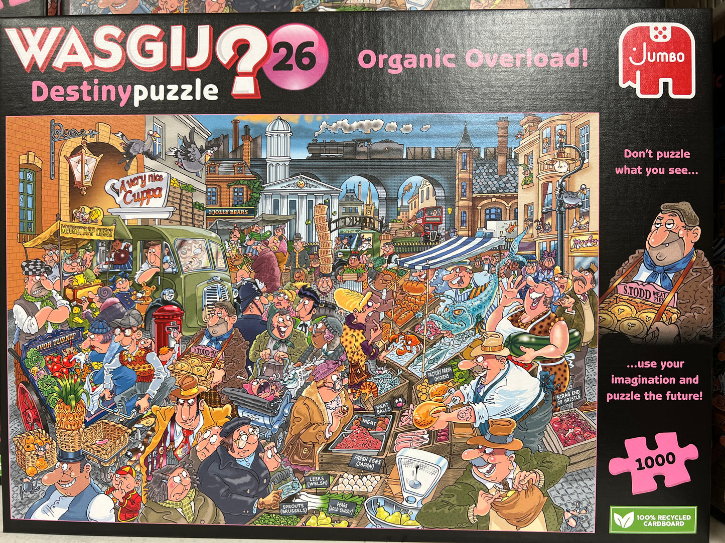 WASGIJ? Mystery Puzzel (Imagine the puzzle image from the box image) 1000’s