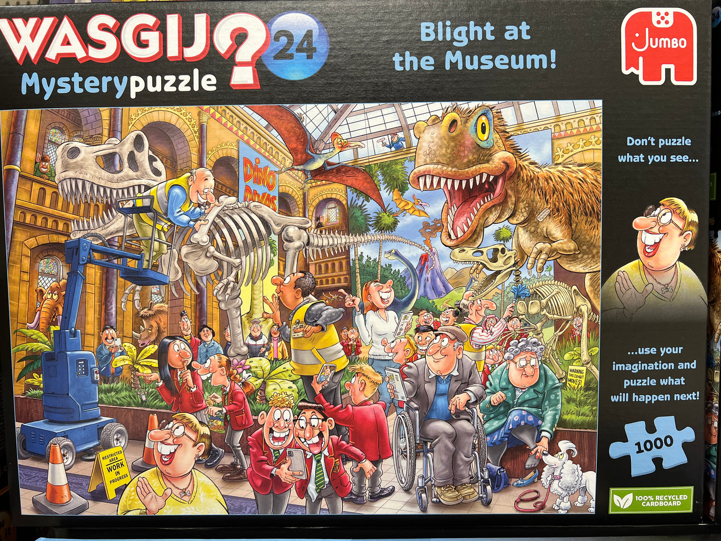 WASGIJ? Mystery Puzzel (Imagine the puzzle image from the box image) 1000’s