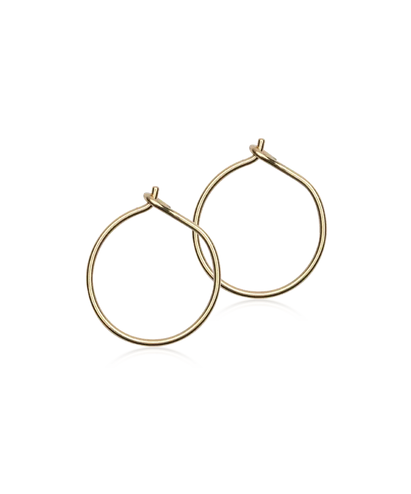 Gold Titanium Ear Ring (New)