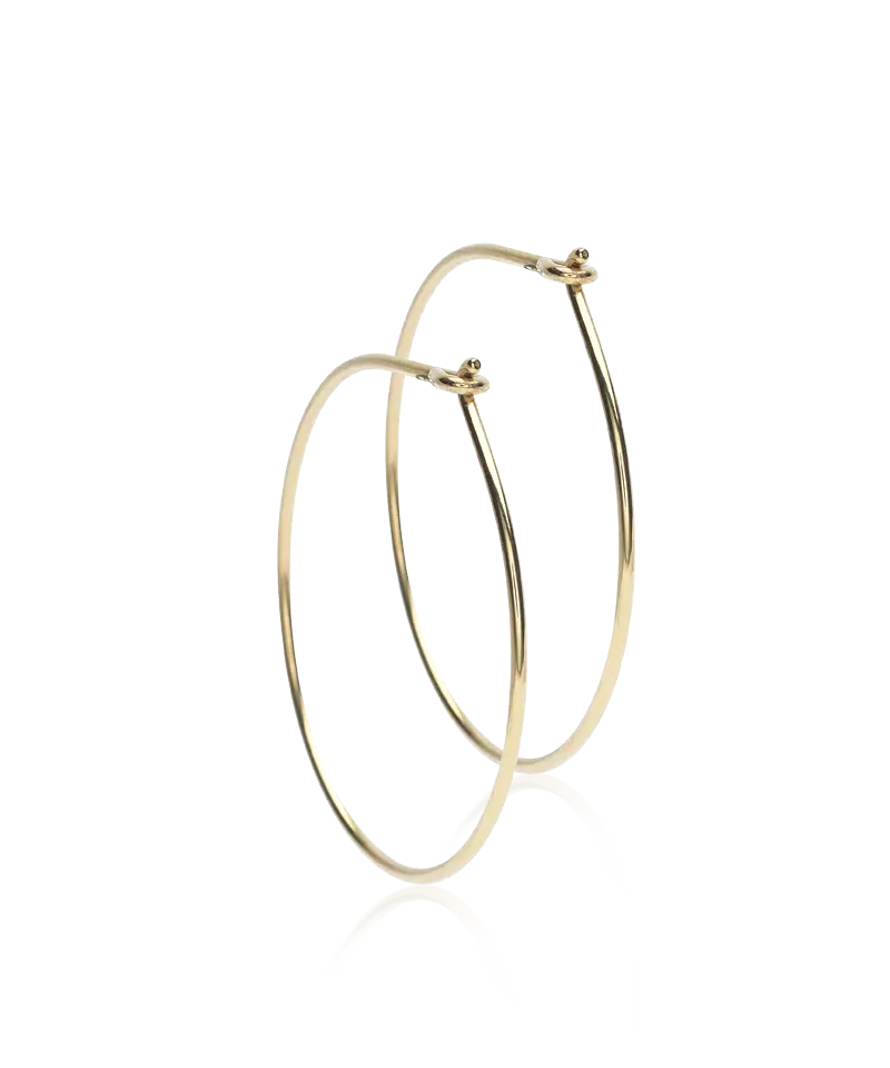 Gold Titanium Ear Ring (New)