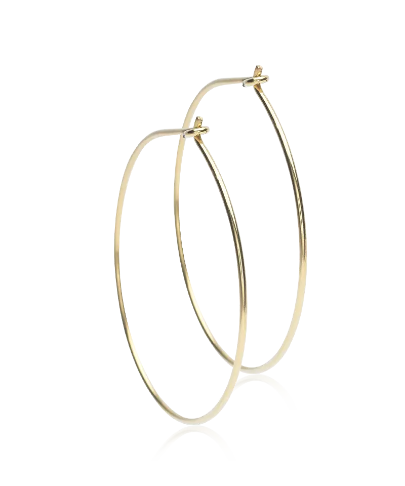 Gold Titanium Ear Ring (New)