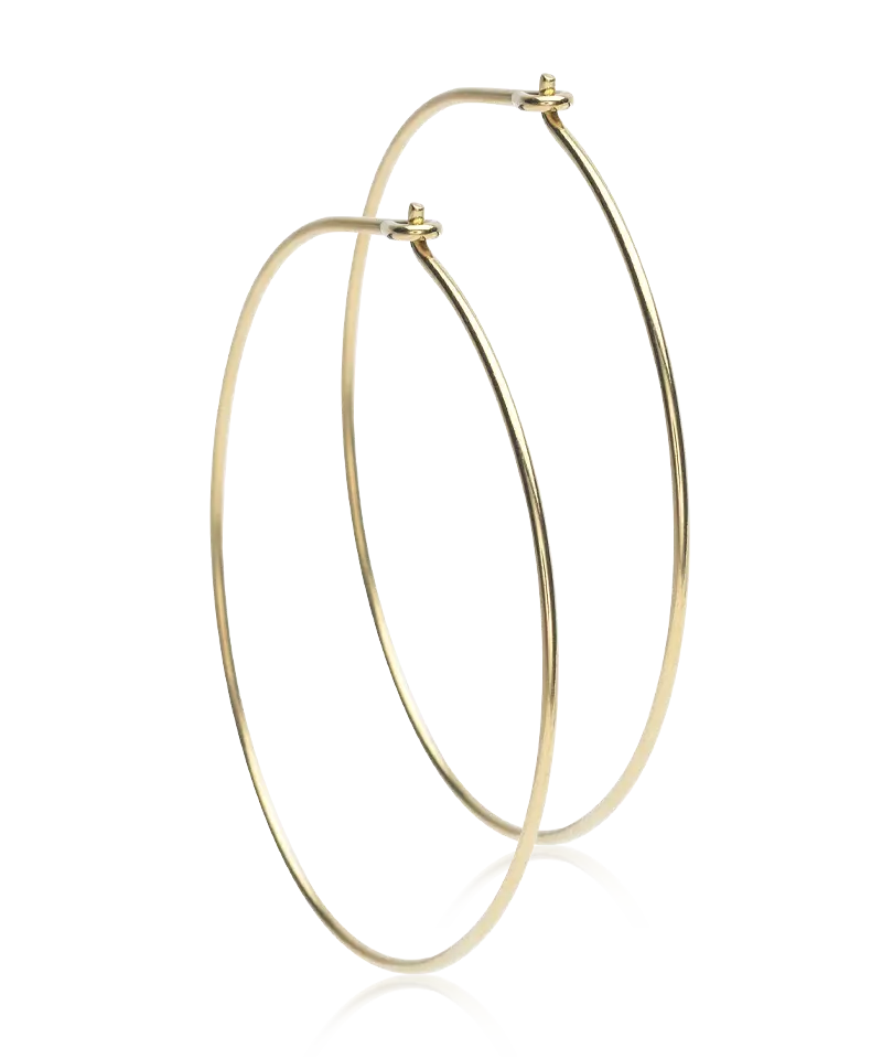 Gold Titanium Ear Ring (New)