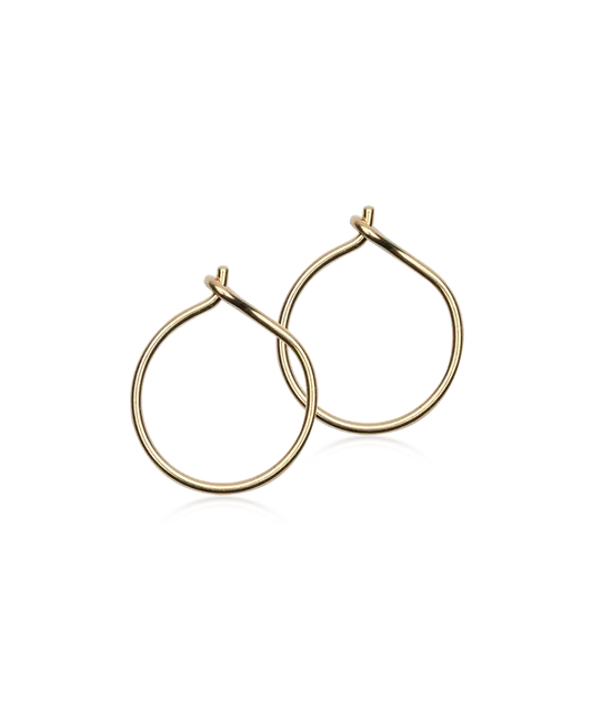 Gold Titanium Ear Ring (New)